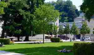 Behind the stone walls and cobble stoned plazas is greenery and coolness conducive to learning.